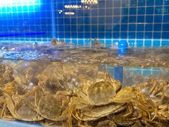 -罗马假日海鲜自助餐厅(星湖广场店)