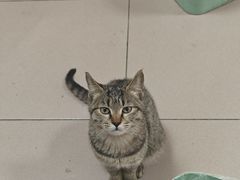 -清真·白家牛肉罩火烧老店(育才街店)