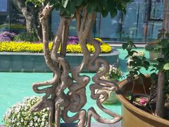 -南通洲际绿博园