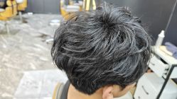 点击看大图 -藤野造型