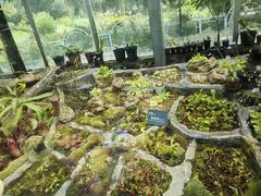 -国家植物园南园