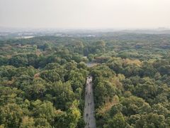 -灵谷景区
