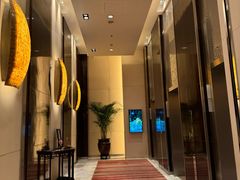 -丽思卡尔顿酒店泳池(金融街店)