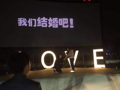 -枫花园汽车电影院(朝阳公园店)