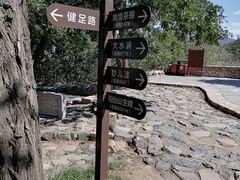 -阳台山自然风景区