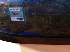 -亚龙湾亚泰商业街