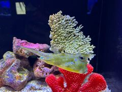 -上海海洋水族馆