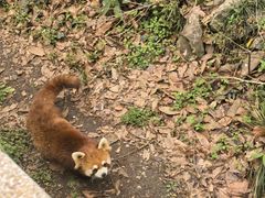 -杭州少年儿童公园