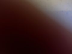 -汤姆熊欢乐世界(滨江店)