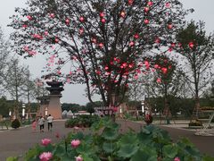 -洛阳市隋唐城遗址植物园