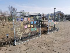 -莫子山公园