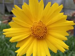 -广东茂名森林公园