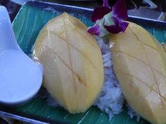 -Jungle Kitchen