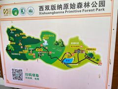 -西双版纳原始森林公园