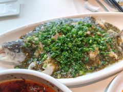 烧椒鲈鱼-尘香•传统川菜(创汇首座店)