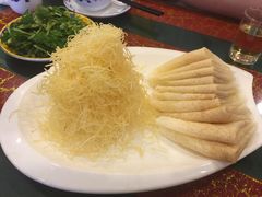 -丁老爷子苏香圆