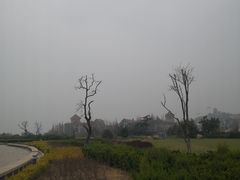 -汇泉广场