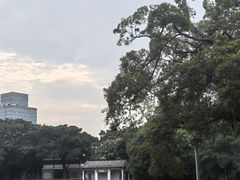 -荔湾湖公园