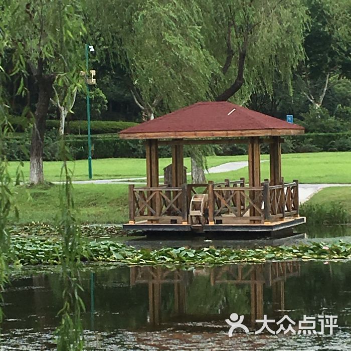 龍背山森林公園