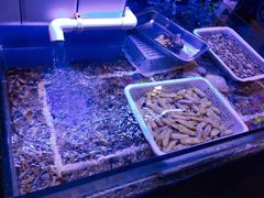 水产区-路边摊小炉子烧烤