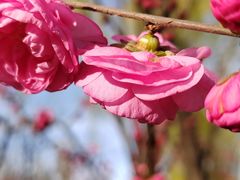 -朝阳公园
