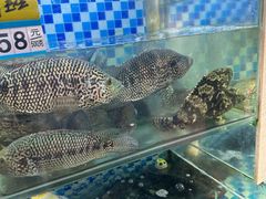 -蔚海之都·象山蒸汽海鲜(仙霞路店)