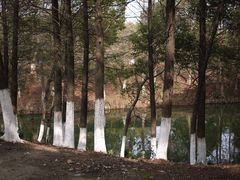 -八大山人梅湖景区