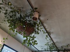 -懒人盐府人家·自贡大麻鱼(安贞店)
