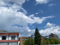 -龙华素斋(龙华路店)