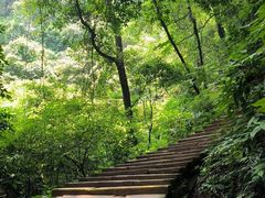 -青城山