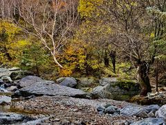 -小五台金河景区