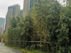 -上海港国际客运中心1号游艇码头