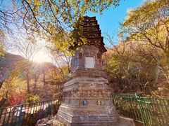 -北京凤凰岭