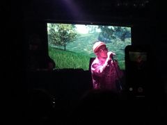 -坚果NUTS