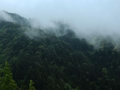 -井冈山风景名胜区