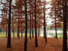 -梁鸿国家湿地公园