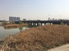 -灞河西岸滨河公园