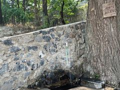 -阳台山自然风景区