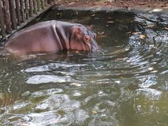 -海南热带野生动植物园