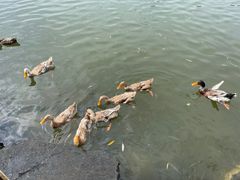 -上海怡沁园度假酒店