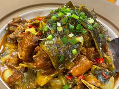 黄焖生态甲鱼-洞庭家宴·头牌甲鱼(广渠门店)