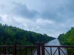 -黄海国家森林公园