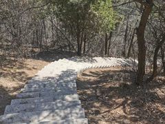-金龙寺国家森林公园