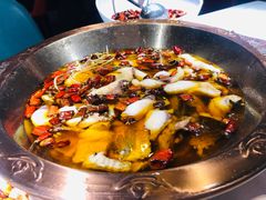 -雲蜀龙阁·金牌水煮鱼(方庄店)