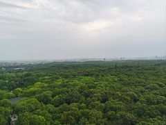 -灵谷景区