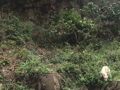 -湖鲜楼