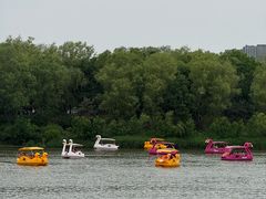 -大兴滨河森林公园