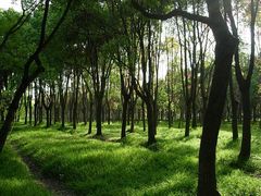 -嘉北郊野公园