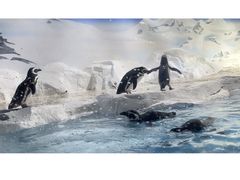 -上海海洋水族馆