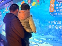-烟台海昌鲸鲨海洋公园